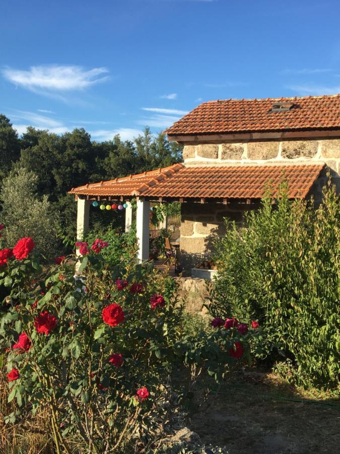 Willa Quinta Do Cobral Oliveira do Hospital Zewnętrze zdjęcie