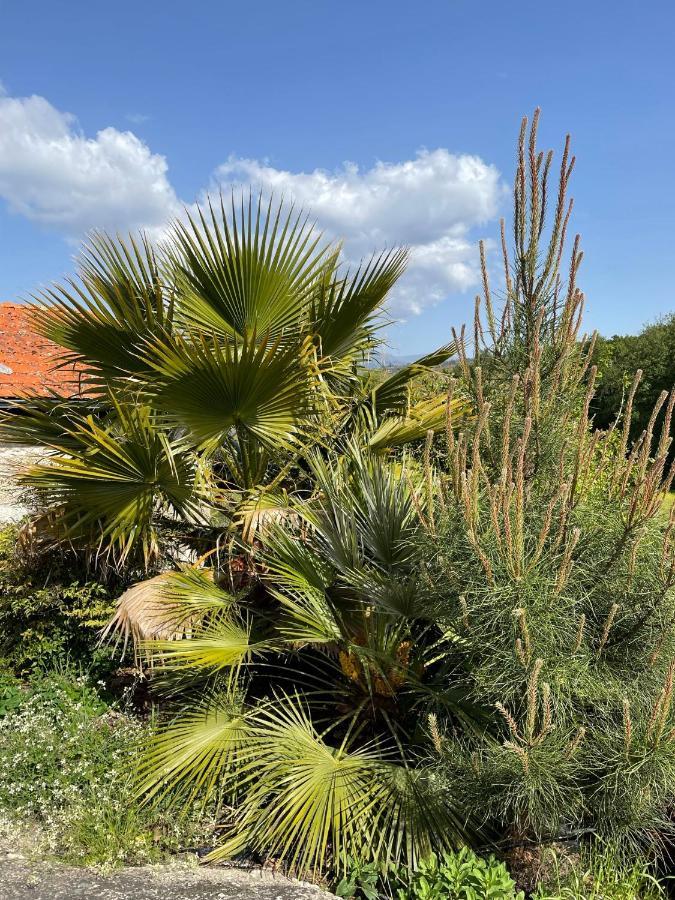 Willa Quinta Do Cobral Oliveira do Hospital Zewnętrze zdjęcie