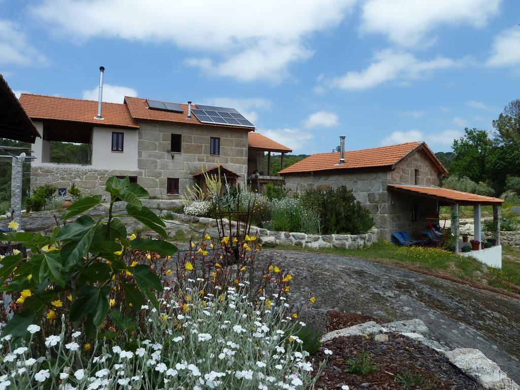 Willa Quinta Do Cobral Oliveira do Hospital Zewnętrze zdjęcie